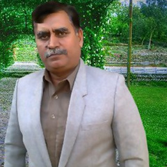 Tauqir Naqvi, 64 года, Rawalpindi