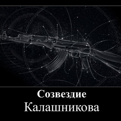 Александр Фиалковский, 38 лет, Одесса