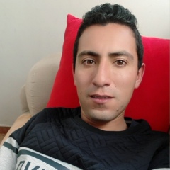 Daniel Perez, 35 лет, Bogotá