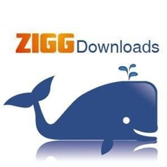 Zigg Downloads, Teresina