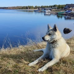 Сергей Морозов