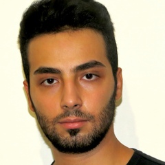 Reza Nejat-Manesh, 33 года, Tehran