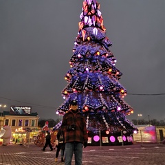 Синь Ло, 29 лет