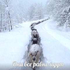 Андрей Лерман, Санкт-Петербург