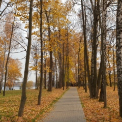 Кристина Коцкая, Москва