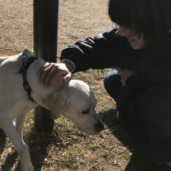 寿理 粟野, 26 лет, Tokyo