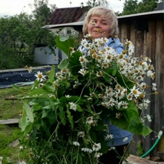 Елена Федорова, Чудово