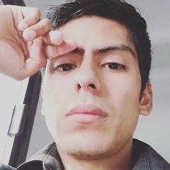 Alberto Renteria, 29 лет, Monterrey