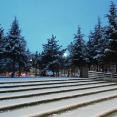 Mert Kaya, Konya