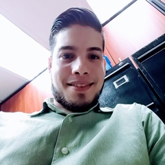 Luis-Eduardo Losada-Jordan, 30 лет, Maracaibo