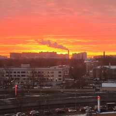 Иван Левин, 19 лет, Москва