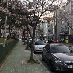 Александр Ли, 42 года, Busan