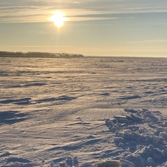 Александр Помозов, 40 лет, Омск