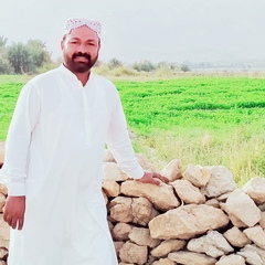 Jani Baloch, 40 лет, Hyderabad