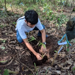 Renzo Salgado, 25 лет, Antipolo