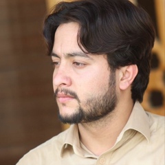 Faheem Shah, 28 лет, Peshawar