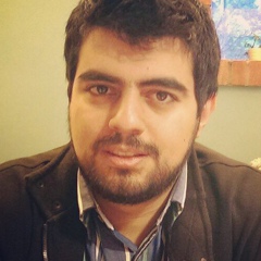 Mahmood Dashti, 31 год, Tehran