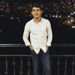 Farid Mammadli, 26 лет, Баку