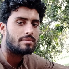 Malik Aamir, 29 лет, Multan