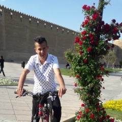 Sirous Mohammadi, 32 года, Tehran