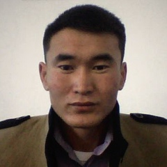 Давааням Санжид, 32 года, Ulaanbaatar