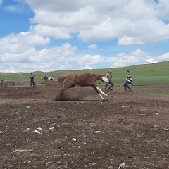 Baagii Bnoo, 24 года, Ulaanbaatar