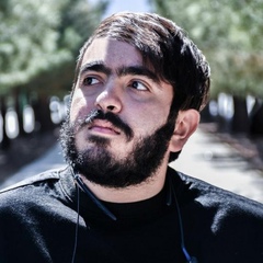 Mehdi Mottaghi, 24 года, Isfahan