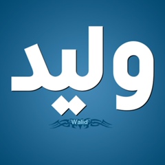 Waled Elgamal, Cairo