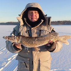 Александр Муковня, 41 год, Санкт-Петербург