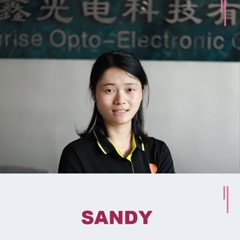 Sandy Lee, 30 лет