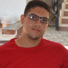 Nasr Mohamed, 38 лет, Cairo