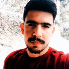 HaSsNaIN MiRzA, 24 года