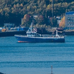 Александр Шершнев, 53 года, Санкт-Петербург