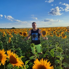 Александр Васильев, Велиж