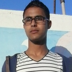 Hicham Shahin-Ahricha, 30 лет, Essaouira