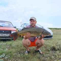 Антон Дрожжин, 36 лет, Поворино