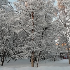 Галина Ошуркова, Санкт-Петербург