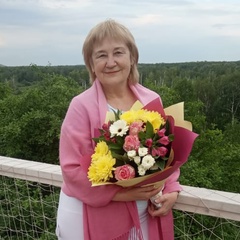 Светлана Меженинова, 63 года, Нижний Новгород