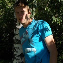 Dmitriy Lapshin, 33 года, Барнаул