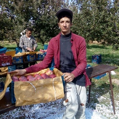 Zanyar Gazani, 28 лет, Tehran