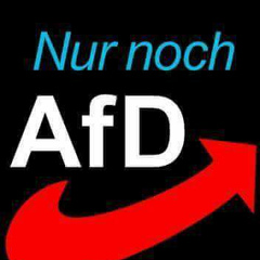 Afd Fanclub-Bundesweit, 61 год, Frankfurt am Main