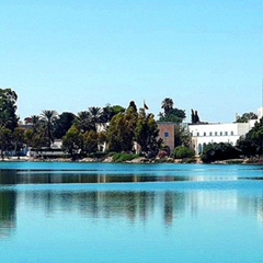 Hanen Bel-Hadj, Tunis