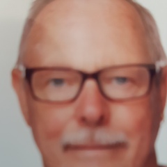 Willy Hoenselaar, 71 год, Kleve