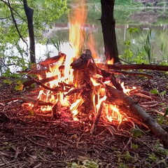 Максим Козин, 31 год, Курск