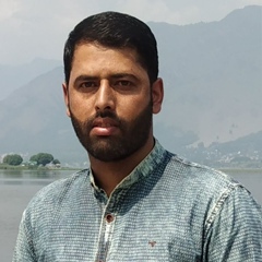 Abid Hussain, 36 лет, Srinagar