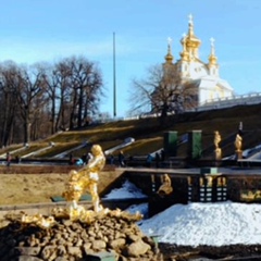 Николай Бражников, 24 года, Санкт-Петербург