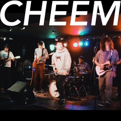 Cheem The-Band, 55 лет, West Hartford