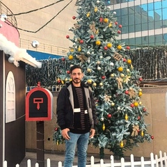 Kamel Wagih, 31 год, Cairo