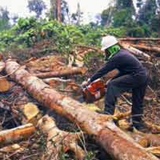 Kusnadi Nadi, 30 лет, Bandar Lampung