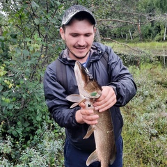 Денис Сотников, 30 лет, Санкт-Петербург